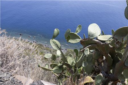 Viaggio di gruppo Isole Eolie Giugno 2025