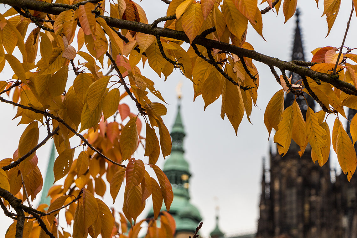 Castello di Praga